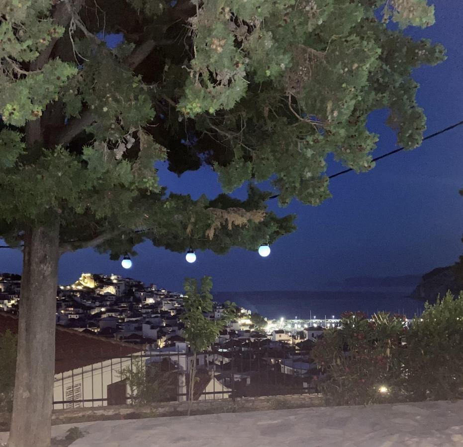 Villa Icelle Skopelos Town Sea View Swimming Pool エクステリア 写真