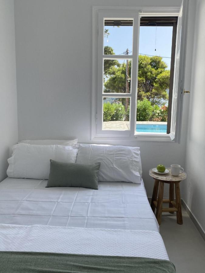 Villa Icelle Skopelos Town Sea View Swimming Pool エクステリア 写真