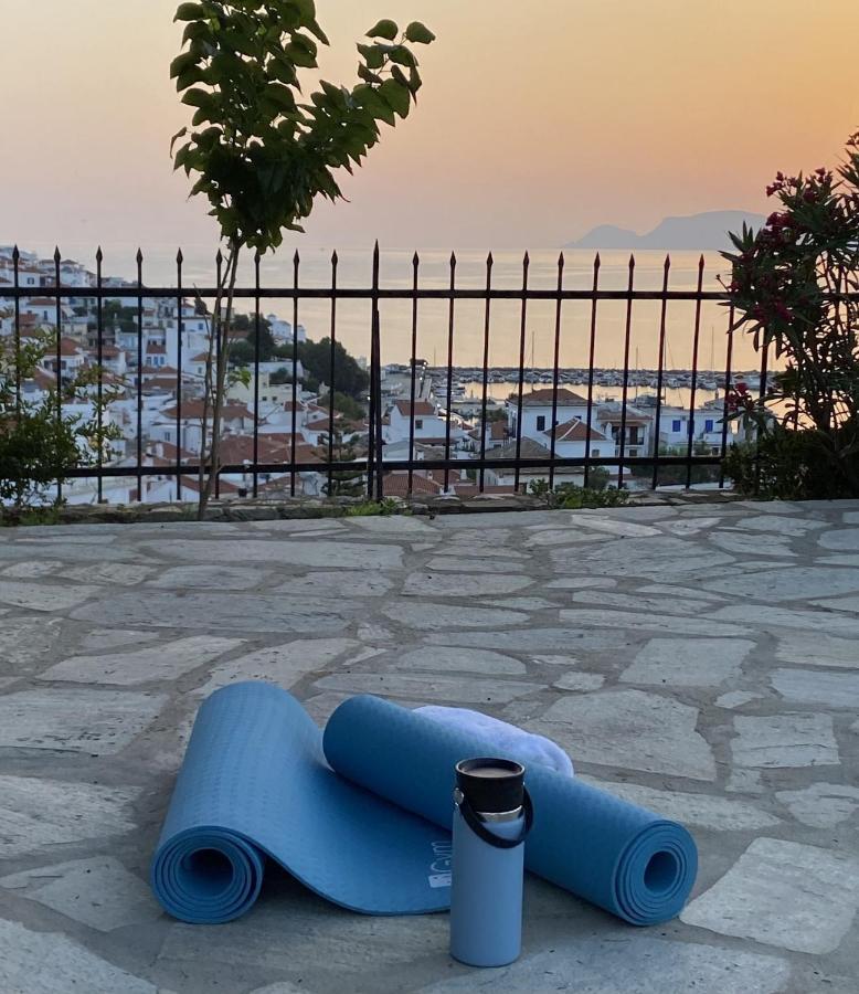 Villa Icelle Skopelos Town Sea View Swimming Pool エクステリア 写真