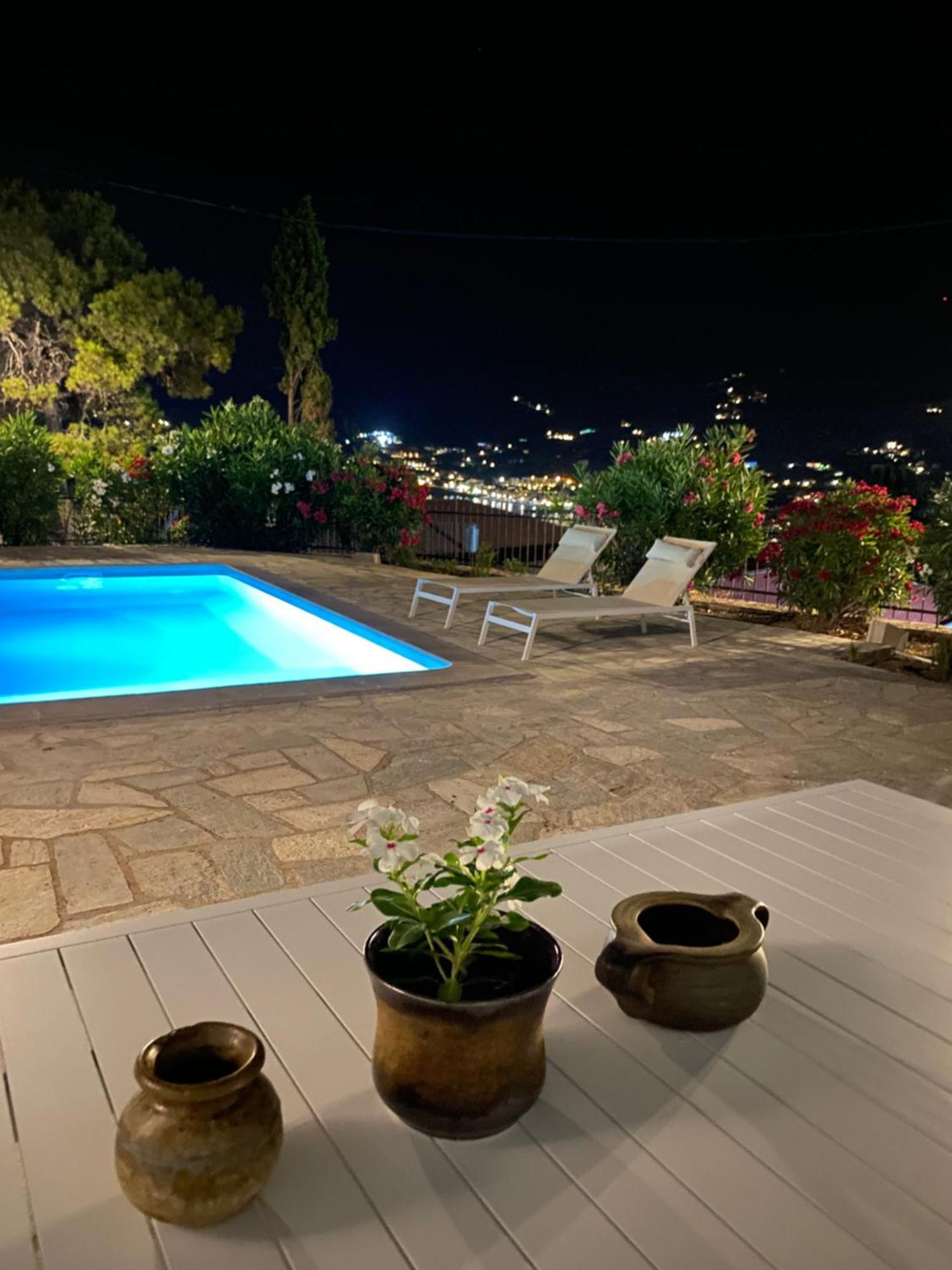 Villa Icelle Skopelos Town Sea View Swimming Pool エクステリア 写真